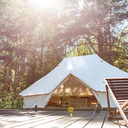 Pastoral Glamping Hotel Velikij Lesz Kültér fotó